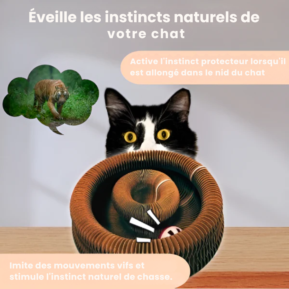 FelineWhirl™