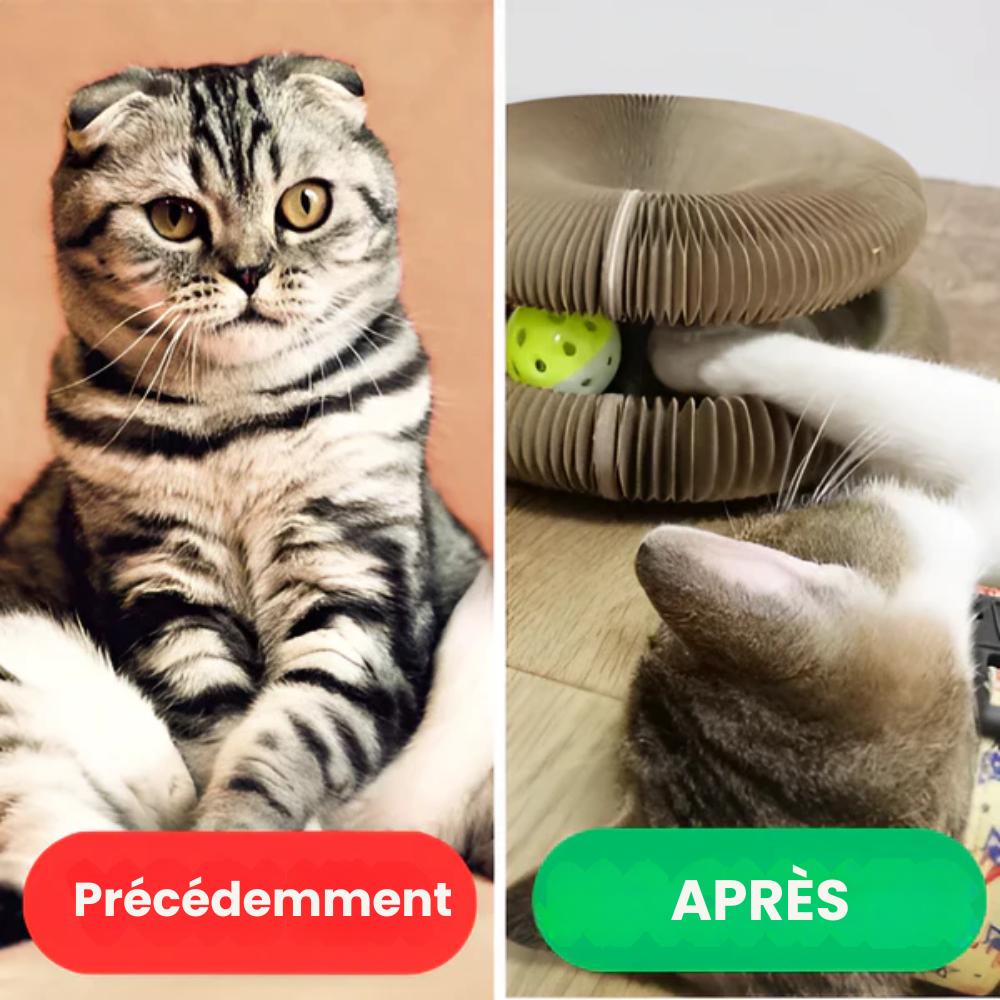 FelineWhirl™