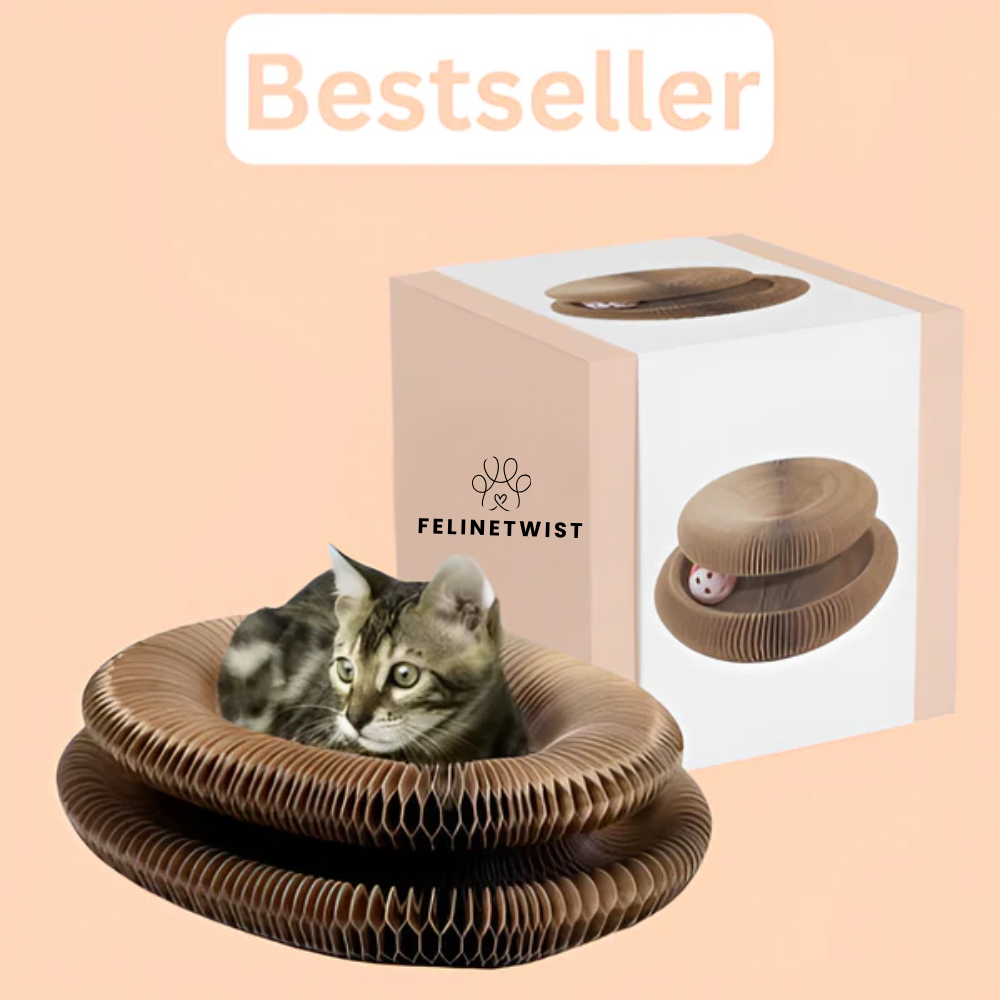 FelineWhirl™