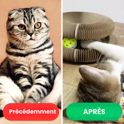 FelineWhirl™